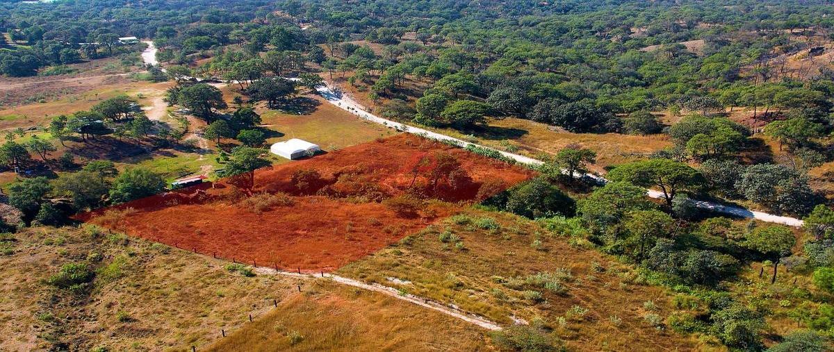 Foto de terreno habitacional en venta en parcela , el arenal, el arenal, jalisco, 30835791 No. 05