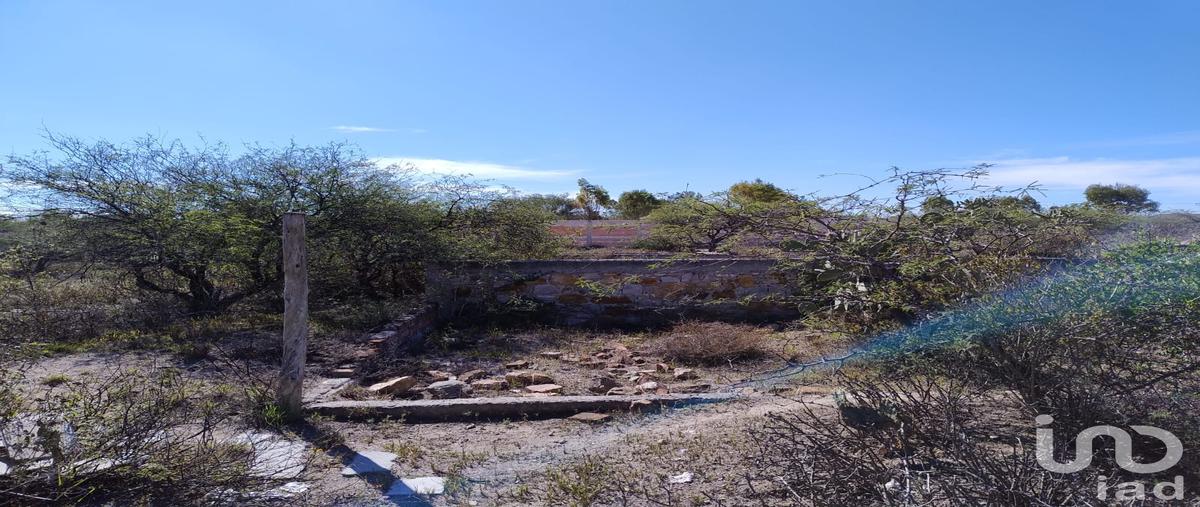 Foto de terreno habitacional en venta en parcela , el mirador, san juan del río, querétaro, 28721608 No. 05