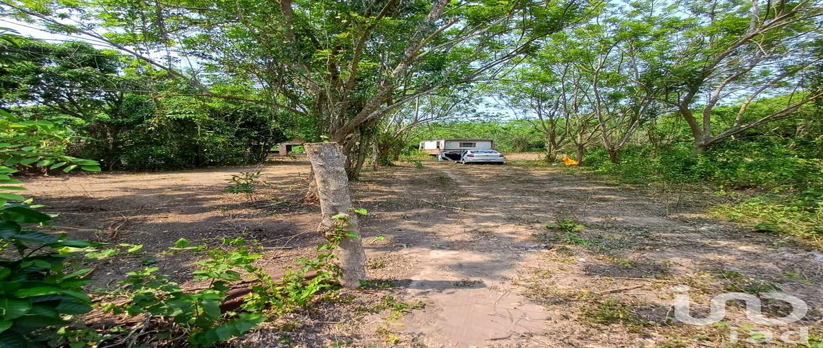 Foto de terreno comercial en venta en parcela , ixcoalco, medellín de bravo, veracruz de ignacio de la llave, 0 No. 03