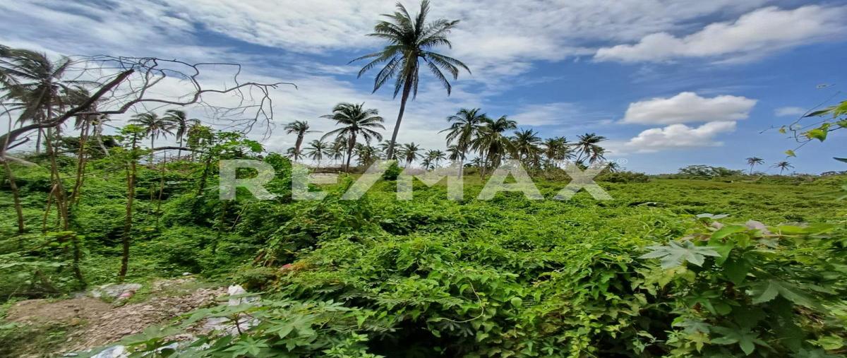 Foto de terreno habitacional en venta en parcela , la zanja o la poza, acapulco de juárez, guerrero, 0 No. 03