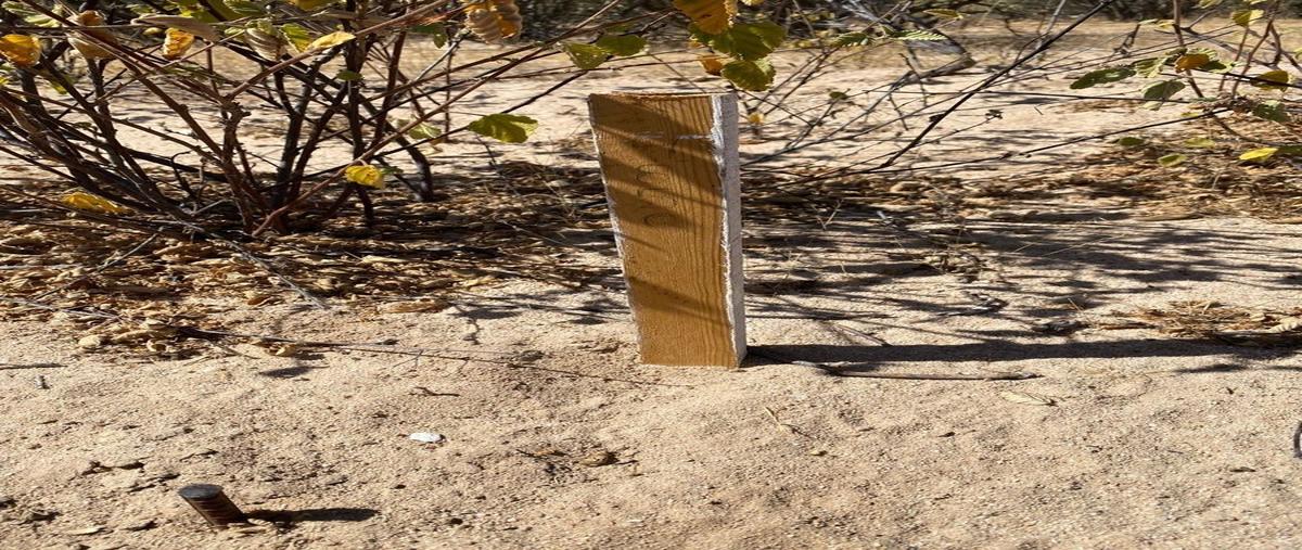 Foto de terreno habitacional en venta en parcela , los planes, la paz, baja california sur, 27837700 No. 03