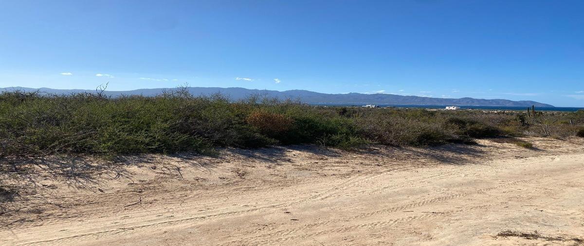 Foto de terreno habitacional en venta en parcela , los planes, la paz, baja california sur, 27837700 No. 04