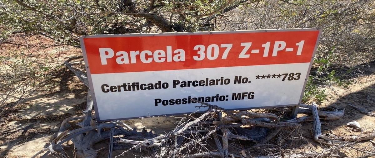 Foto de terreno habitacional en venta en parcela , los planes, la paz, baja california sur, 27837700 No. 05
