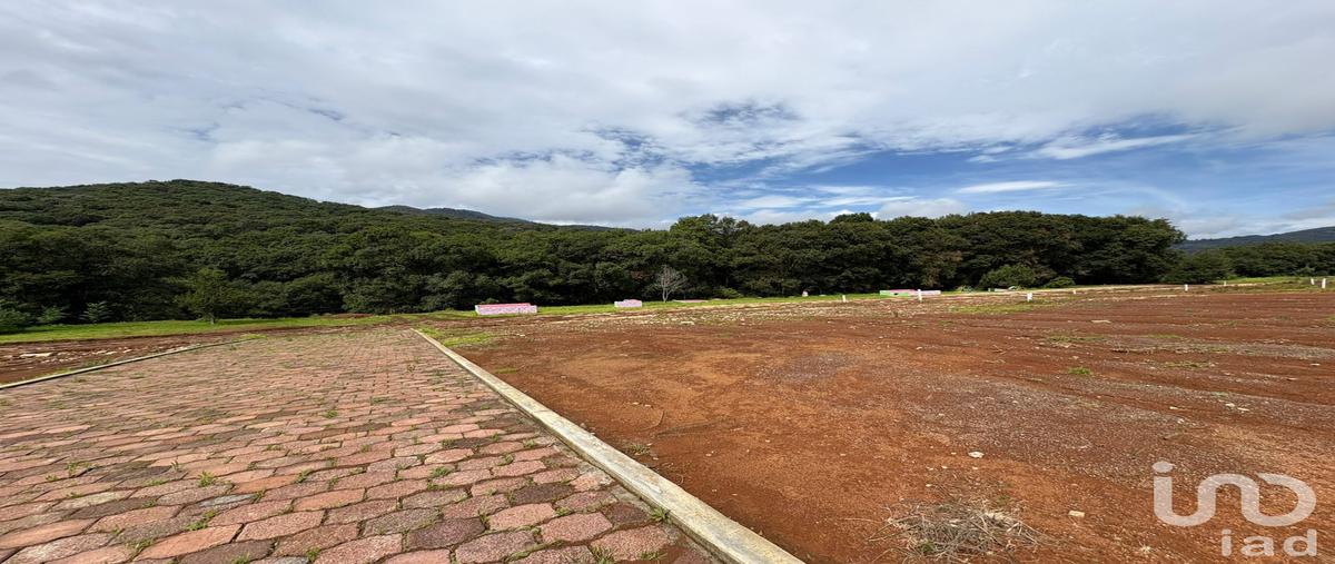 Foto de terreno habitacional en venta en parcela numero 103 z-7 p1/4 del ejido de velasco 1616, morelos, omitlán de juárez, hidalgo, 30237941 No. 03