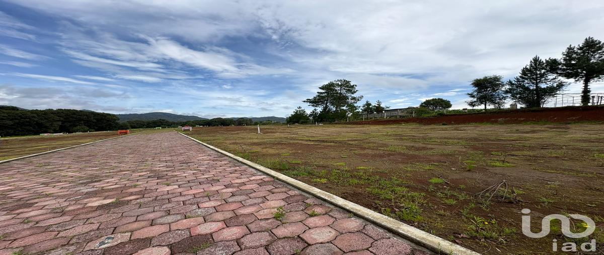 Foto de terreno habitacional en venta en parcela numero 103 z-7 p1/4 del ejido de velasco 1616, morelos, omitlán de juárez, hidalgo, 30237941 No. 04