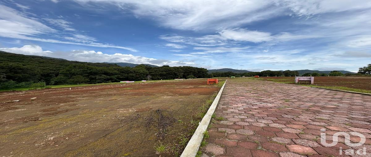 Foto de terreno habitacional en venta en parcela numero 103 z-7 p1/4 del ejido de velasco 1616, morelos, omitlán de juárez, hidalgo, 30237941 No. 05