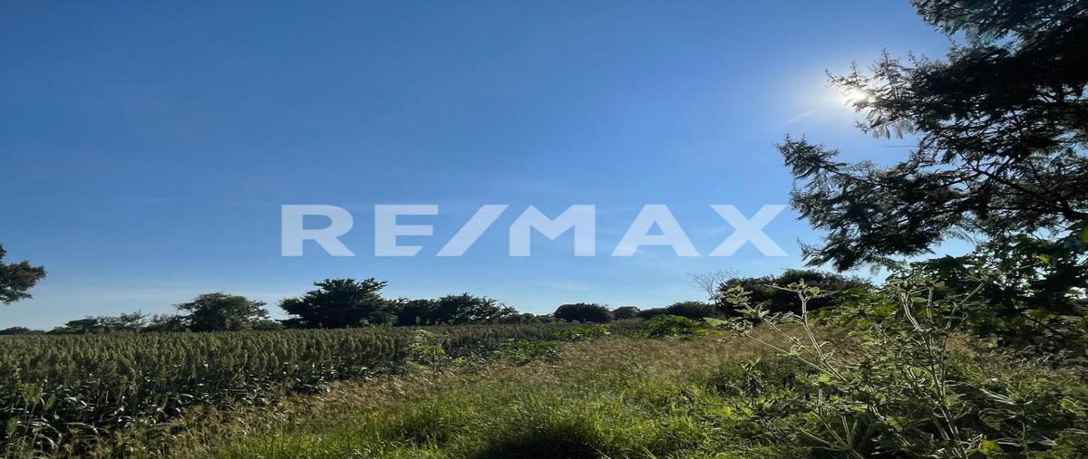 Foto de terreno habitacional en venta en parcela número 185 , san juan castillotla, atlixco, puebla, 0 No. 02