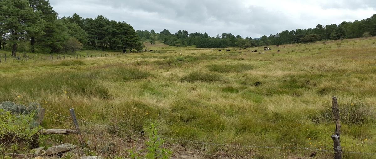 Foto de terreno habitacional en venta en parcela numero 39 z1 p1/2 , atemajac de brizuela, atemajac de brizuela, jalisco, 30691037 No. 03