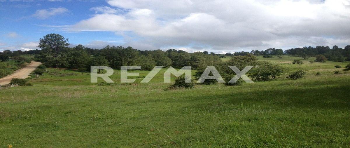 Foto de terreno habitacional en venta en parcela numero 39 z1 p1/2 , las varillas, atemajac de brizuela, jalisco, 0 No. 04