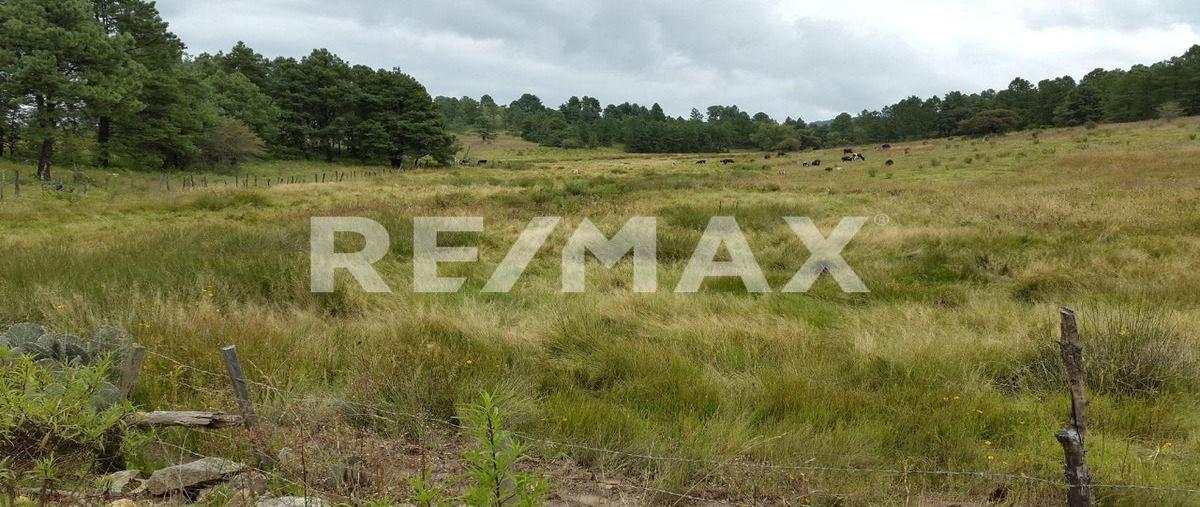 Foto de terreno habitacional en venta en parcela numero 39 z1 p1/2 , las varillas, atemajac de brizuela, jalisco, 0 No. 05