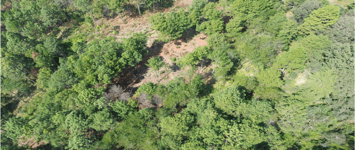 Foto de terreno habitacional en parcela numero 46 z-2 p1/4, plutarco elías calles (copándaro), salvador escalante, michoacán de ocampo, 0 foto 05 Foto de terreno habitacional en venta en parcela numero 46 z-2 p1/4, plutarco elías calles (copándaro), salvador escalante, michoacán de ocampo, 0 No. 05