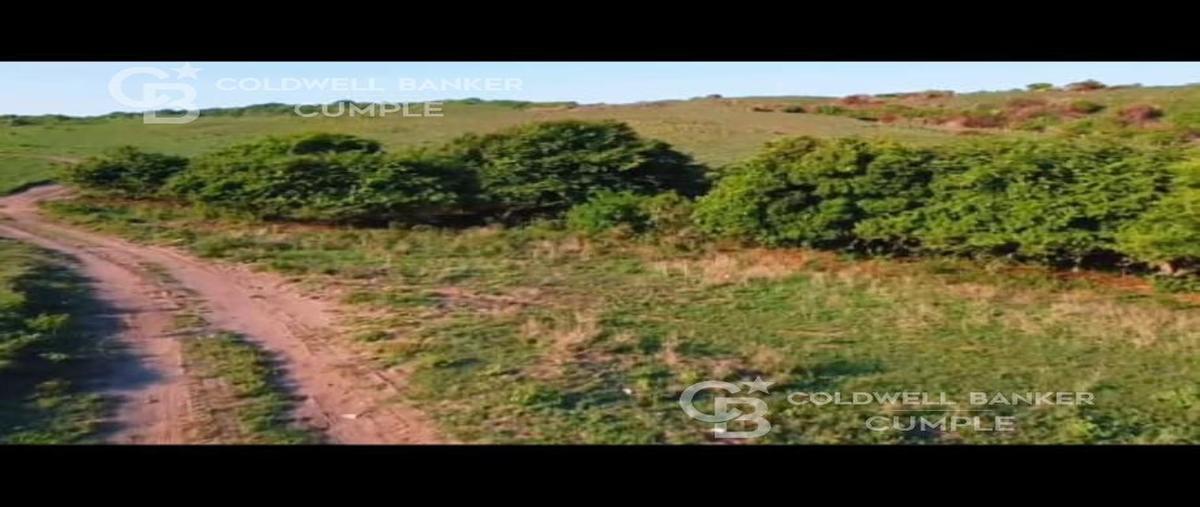 Foto de terreno comercial en venta en parcela numero 87, el cocal 87, alvarado centro, alvarado, veracruz de ignacio de la llave, 30559847 No. 03