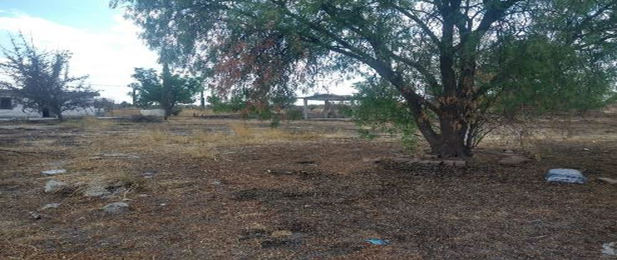 Foto de terreno habitacional en venta en parcela , rancho nuevo de la luz, león, guanajuato, 27029552 No. 03