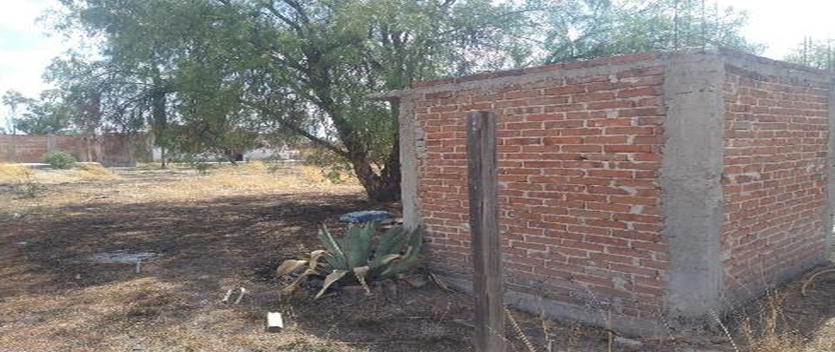 Foto de terreno habitacional en venta en parcela , rancho nuevo de la luz, león, guanajuato, 27029552 No. 05
