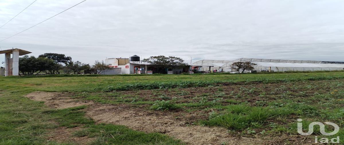 Foto de rancho en venta en parcela , san juan tuxco, san martín texmelucan, puebla, 29786635 No. 03