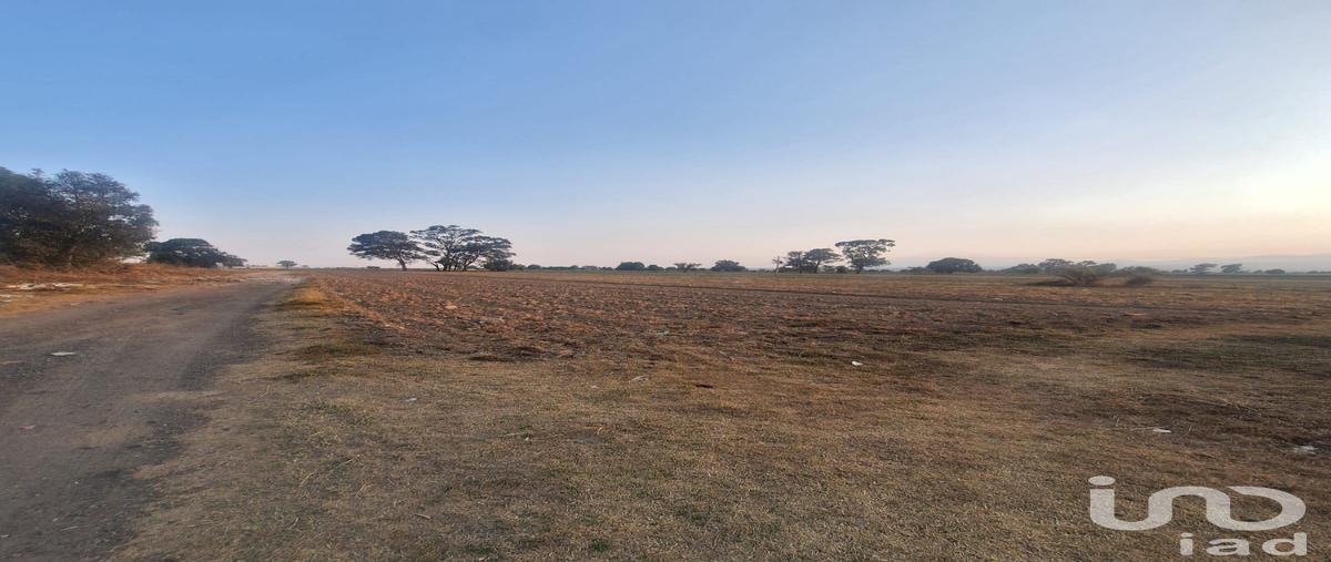 Foto de terreno comercial en venta en parcela , san juan tuxco, san martín texmelucan, puebla, 29798183 No. 04