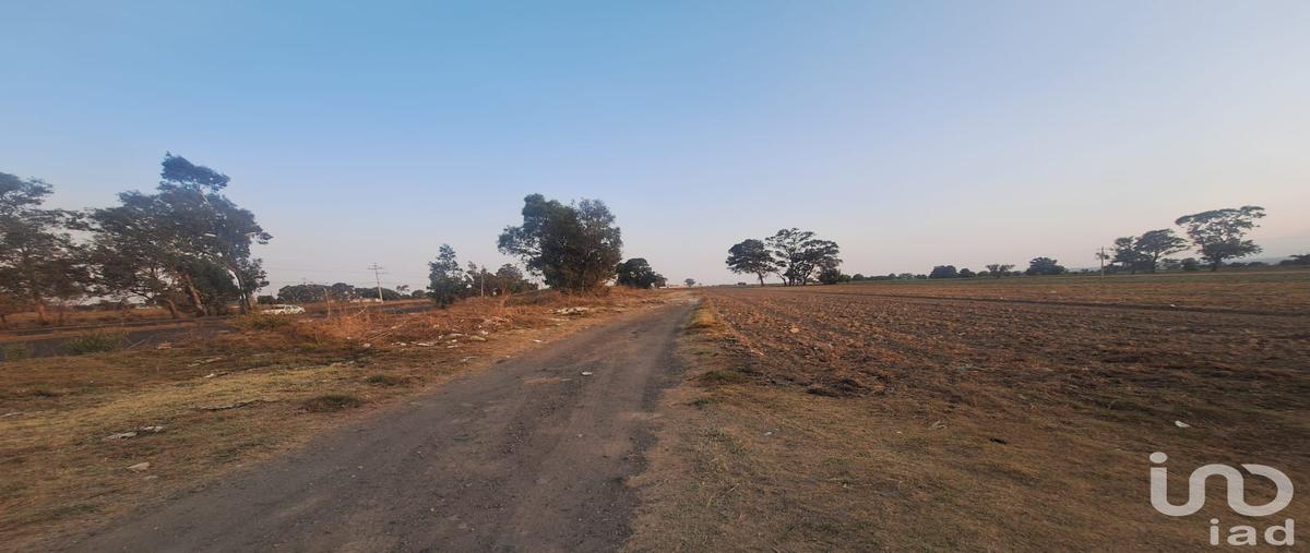 Foto de terreno comercial en venta en parcela , san juan tuxco, san martín texmelucan, puebla, 29798183 No. 05