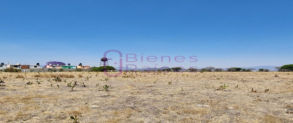 Foto de terreno habitacional en venta en parcela , tianguistengo, tepeji del río de ocampo, hidalgo, 26222239 No. 03