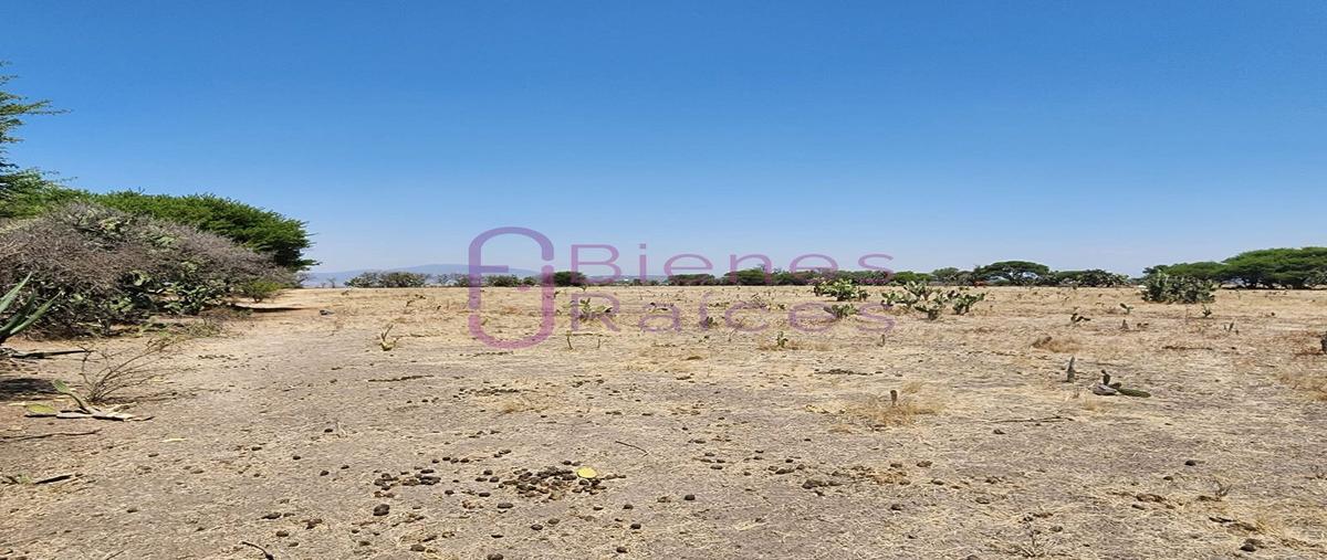 Foto de terreno habitacional en venta en parcela , tianguistengo, tepeji del río de ocampo, hidalgo, 26222239 No. 04