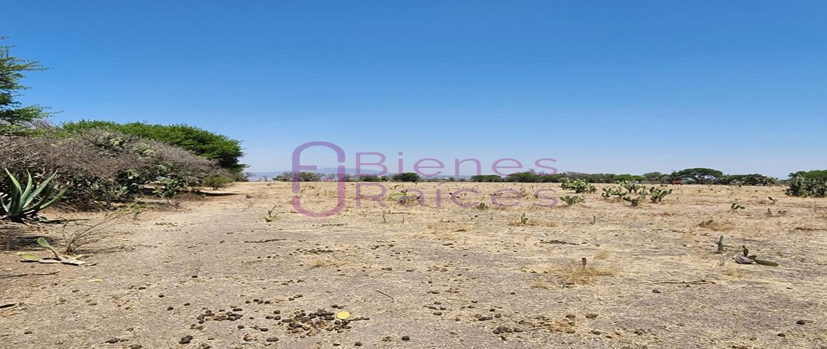 Foto de terreno habitacional en venta en parcela , tianguistengo, tepeji del río de ocampo, hidalgo, 26222239 No. 05