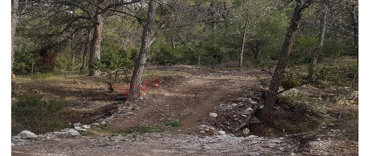 Foto de terreno habitacional en venta en parcela z3 p9/15 266, jame, arteaga, coahuila de zaragoza, 28783673 No. 05