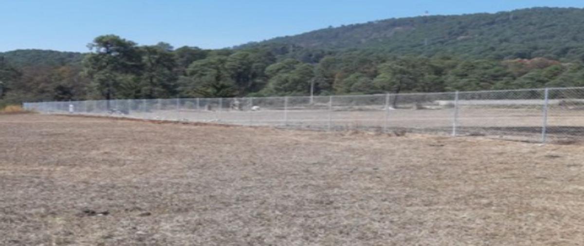 Foto de terreno habitacional en venta en parcelas 13 y 14 , san gabriel ixtla, valle de bravo, méxico, 0 No. 03