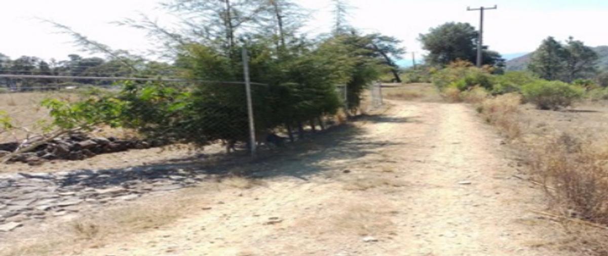 Foto de terreno habitacional en venta en parcelas 13 y 14 , san gabriel ixtla, valle de bravo, méxico, 0 No. 04