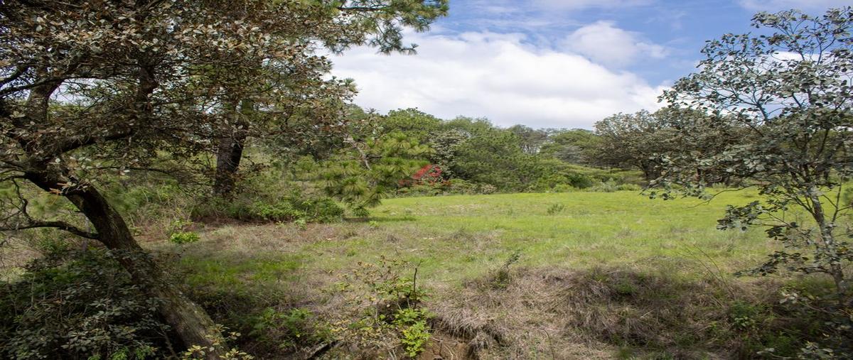 Foto de terreno habitacional en venta en parcelas 16125, emiliano zapata, el arenal, jalisco, 0 No. 03