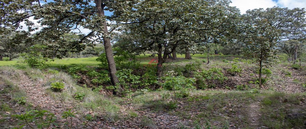 Foto de terreno habitacional en venta en parcelas 16125, emiliano zapata, el arenal, jalisco, 0 No. 04