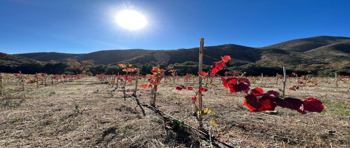 Foto de rancho en renta en parecel 6 , ensenada centro, ensenada, baja california, 25852283 No. 03