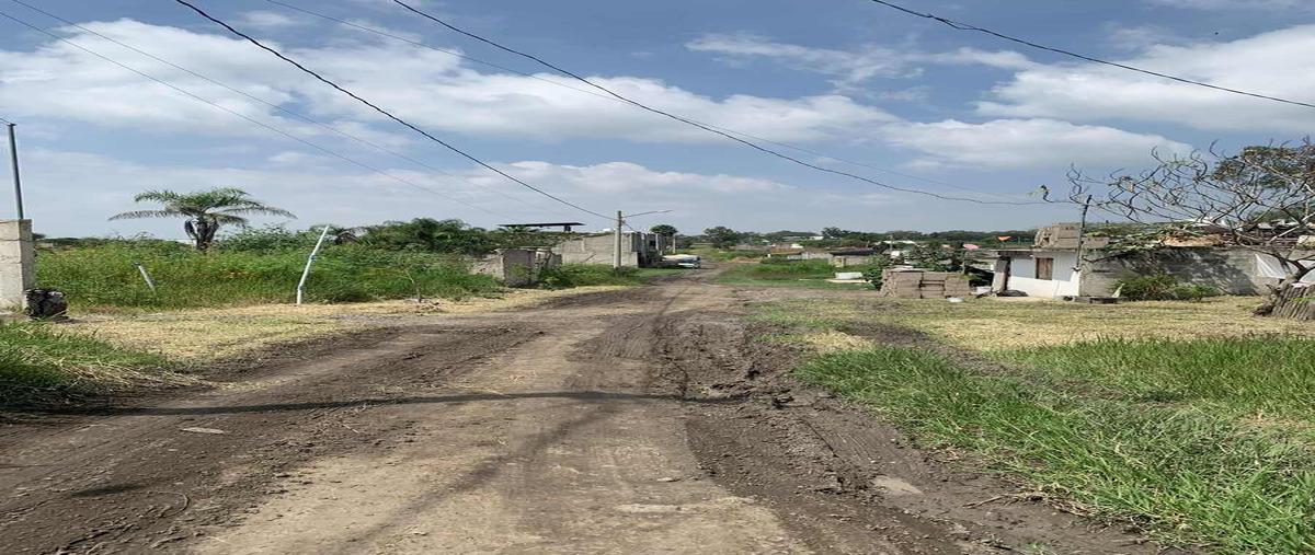 Foto de terreno habitacional en parota , paseo de los agaves, tlajomulco de zúñiga, jalisco, 0 foto 03 Foto de terreno habitacional en venta en parota , paseo de los agaves, tlajomulco de zúñiga, jalisco, 0 No. 03