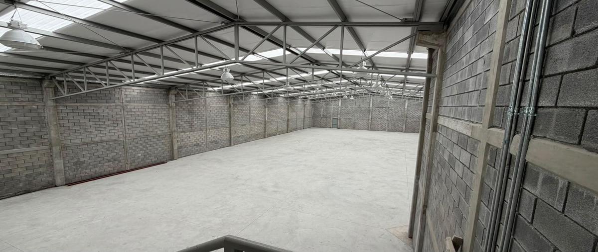 Foto de bodega en renta en  , parque 100, santa catarina, nuevo león, 31634871 No. 05