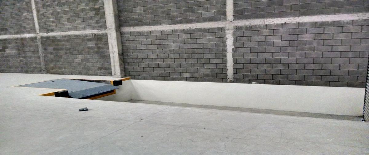 Foto de bodega en renta en  , parque 300, santa catarina, nuevo león, 29828119 No. 05