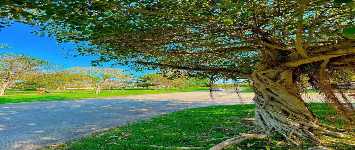 Foto de terreno habitacional en venta en parque central , cholul, mérida, yucatán, 30293167 No. 05