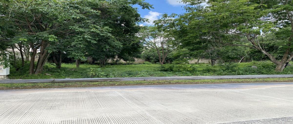 Foto de terreno habitacional en venta en  , parque central, mérida, yucatán, 28300496 No. 04