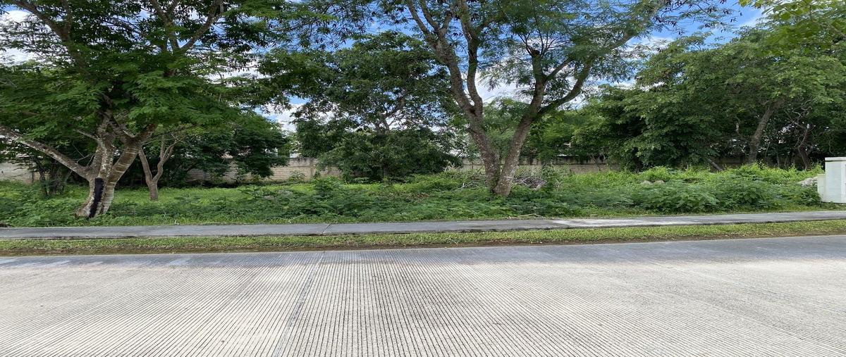 Foto de terreno habitacional en venta en  , parque central, mérida, yucatán, 28300496 No. 05