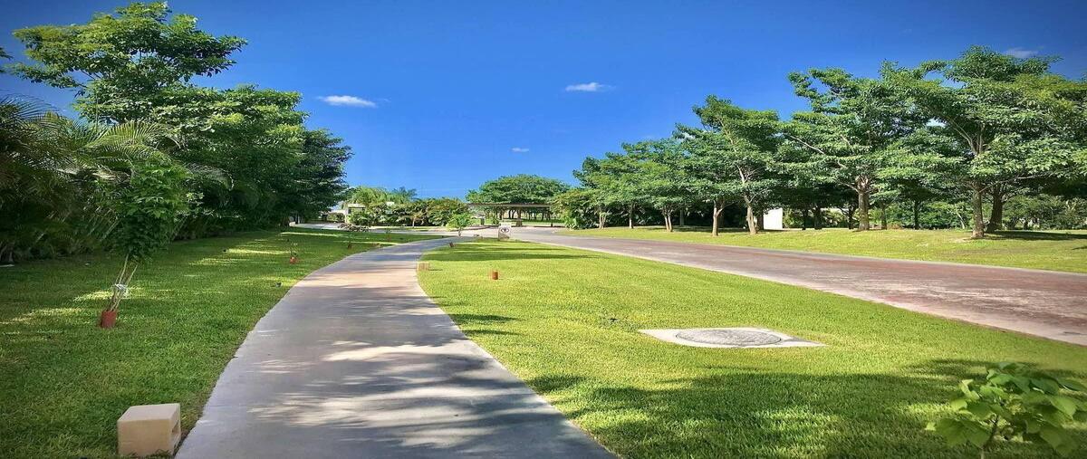 Foto de terreno habitacional en venta en  , parque central, mérida, yucatán, 30710952 No. 04