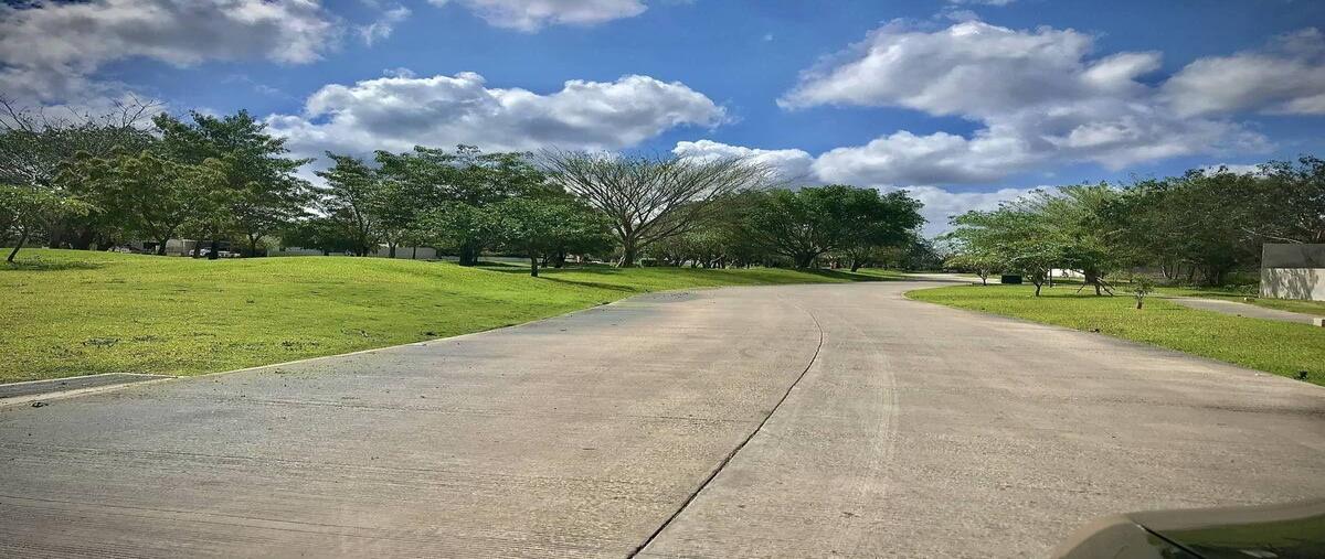 Foto de terreno habitacional en venta en  , parque central, mérida, yucatán, 30710952 No. 05