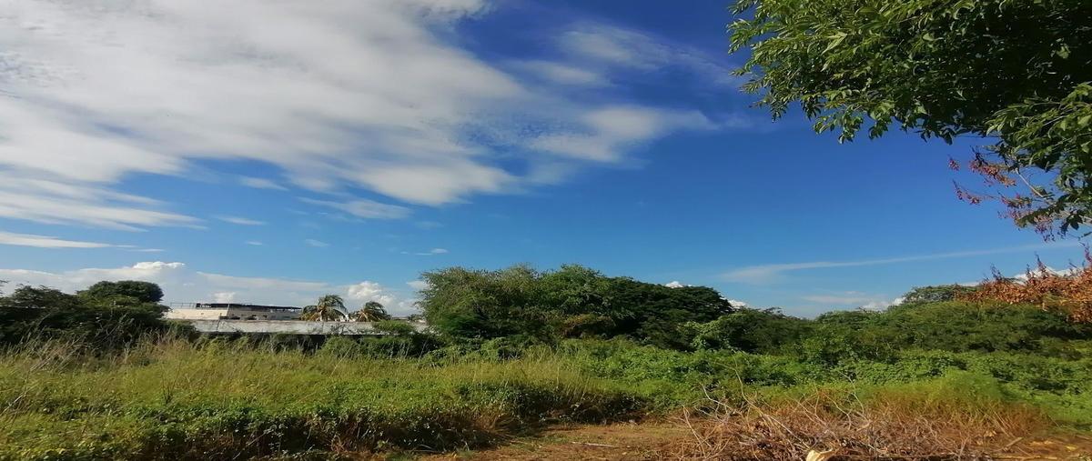 Foto de terreno habitacional en , parque ecológico de viveristas, acapulco de juárez, guerrero, 25156883 foto 02 Foto de terreno habitacional en venta en , parque ecológico de viveristas, acapulco de juárez, guerrero, 25156883 No. 02