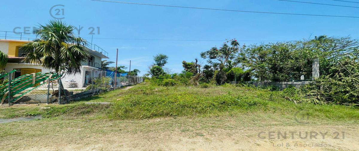 Foto de terreno habitacional en venta en  , parque ecológico de viveristas, acapulco de juárez, guerrero, 28011216 No. 04