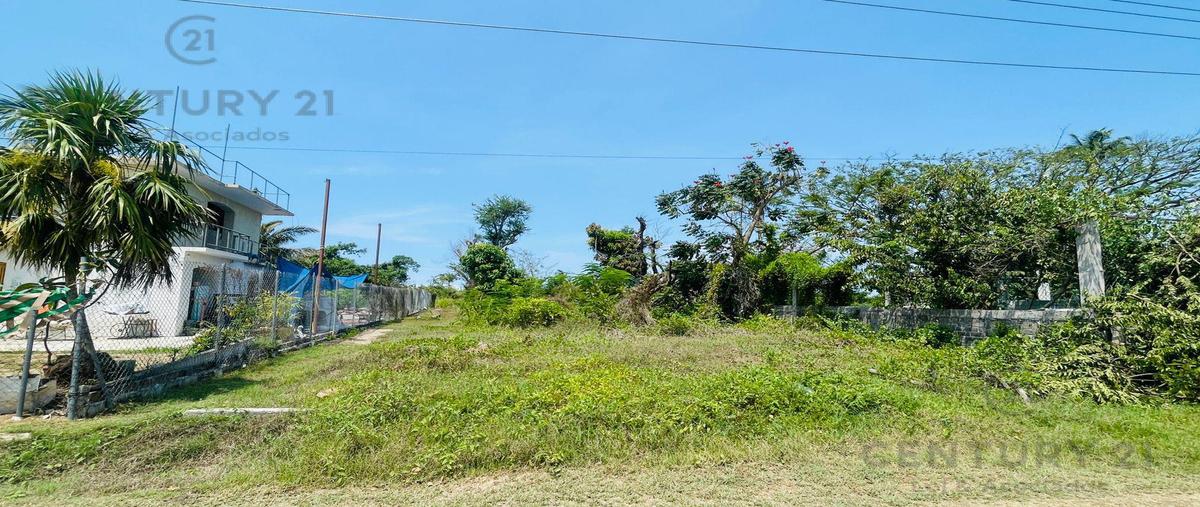 Foto de terreno habitacional en venta en  , parque ecológico de viveristas, acapulco de juárez, guerrero, 28011216 No. 05
