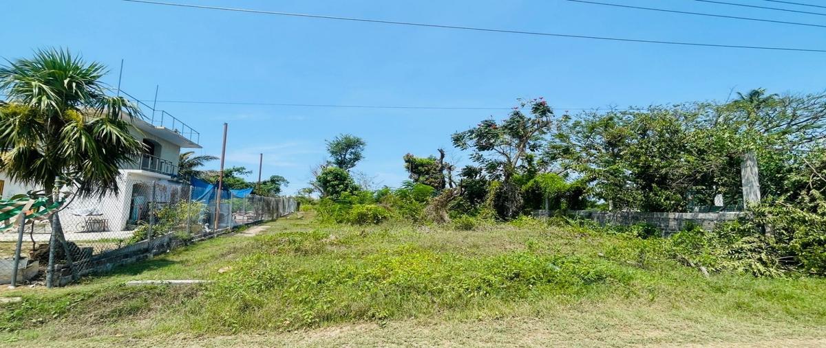 Foto de terreno habitacional en venta en  , parque ecológico de viveristas, acapulco de juárez, guerrero, 0 No. 05