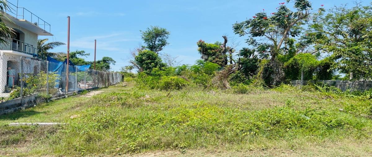 Foto de terreno habitacional en , parque ecológico de viveristas, acapulco de juárez, guerrero, 31103763 foto 02 Foto de terreno habitacional en venta en , parque ecológico de viveristas, acapulco de juárez, guerrero, 31103763 No. 02