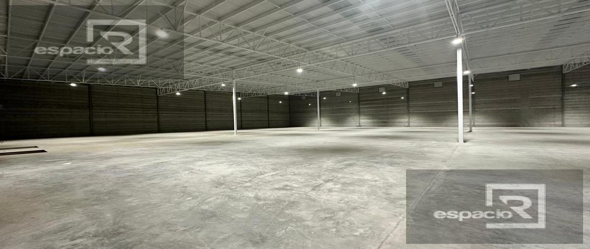 Foto de bodega en renta en  , parque industrial delicias, delicias, chihuahua, 0 No. 03