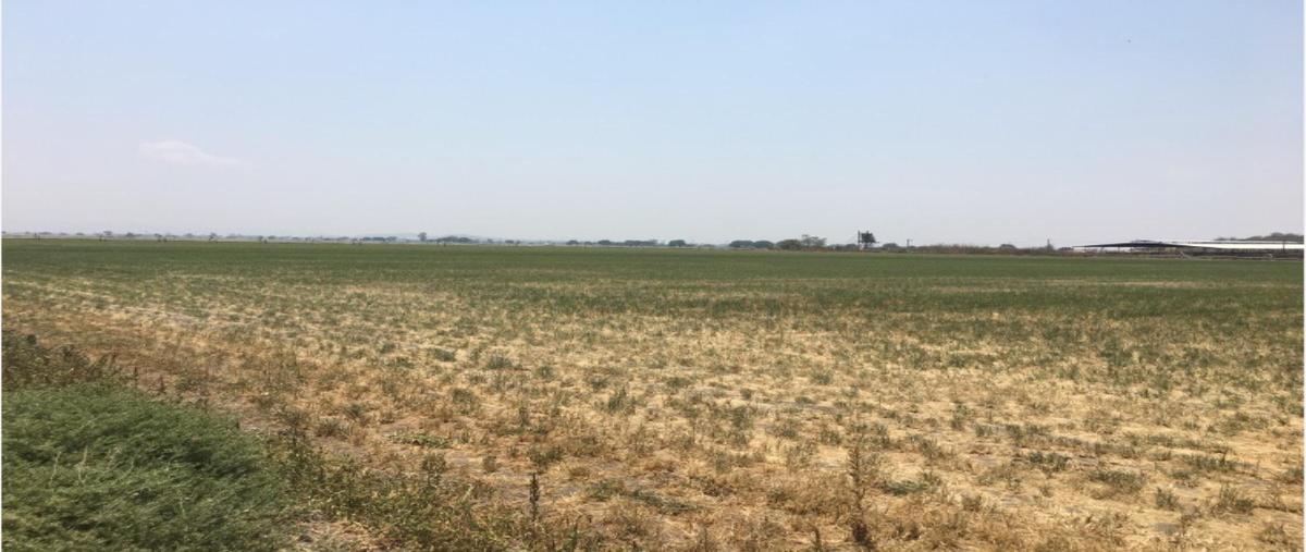 Foto de terreno industrial en venta en  , parque industrial el marqués, el marqués, querétaro, 28131060 No. 03
