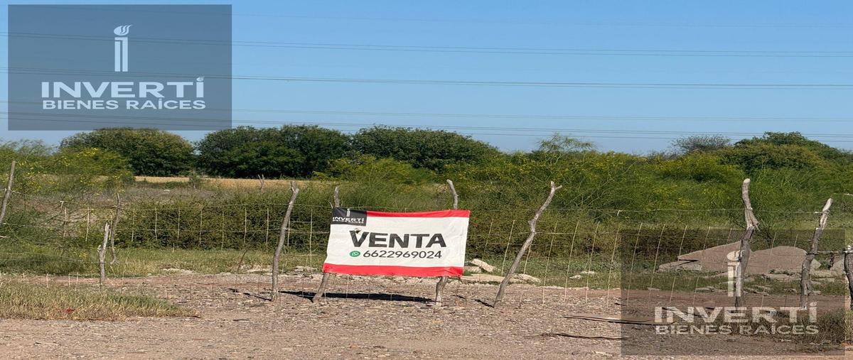 Foto de terreno habitacional en , parque industrial, huatabampo, sonora, 0 foto 04 Foto de terreno habitacional en venta en , parque industrial, huatabampo, sonora, 0 No. 04