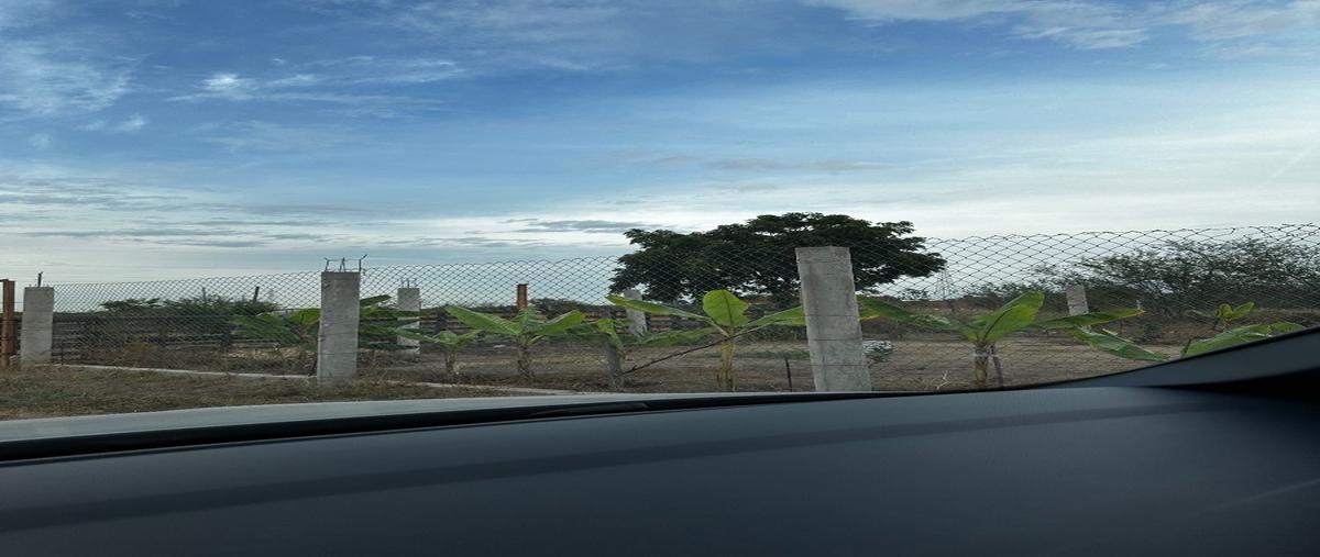 Foto de terreno habitacional en , parque industrial, la paz, baja california sur, 27672885 foto 05 Foto de terreno habitacional en venta en , parque industrial, la paz, baja california sur, 27672885 No. 05