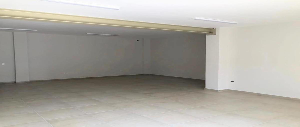 Foto de bodega en renta en  , parque industrial los nogales, santa catarina, nuevo león, 0 No. 05