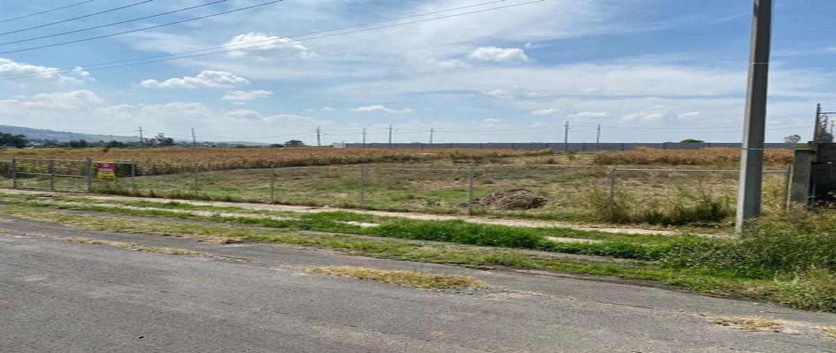 Foto de terreno habitacional en venta en parque industrial zapotlanejo , los tepetates, zapotlanejo, jalisco, 25256685 No. 05