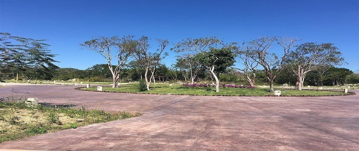 Foto de terreno habitacional en venta en parque natura , cholul, mérida, yucatán, 30698917 No. 05